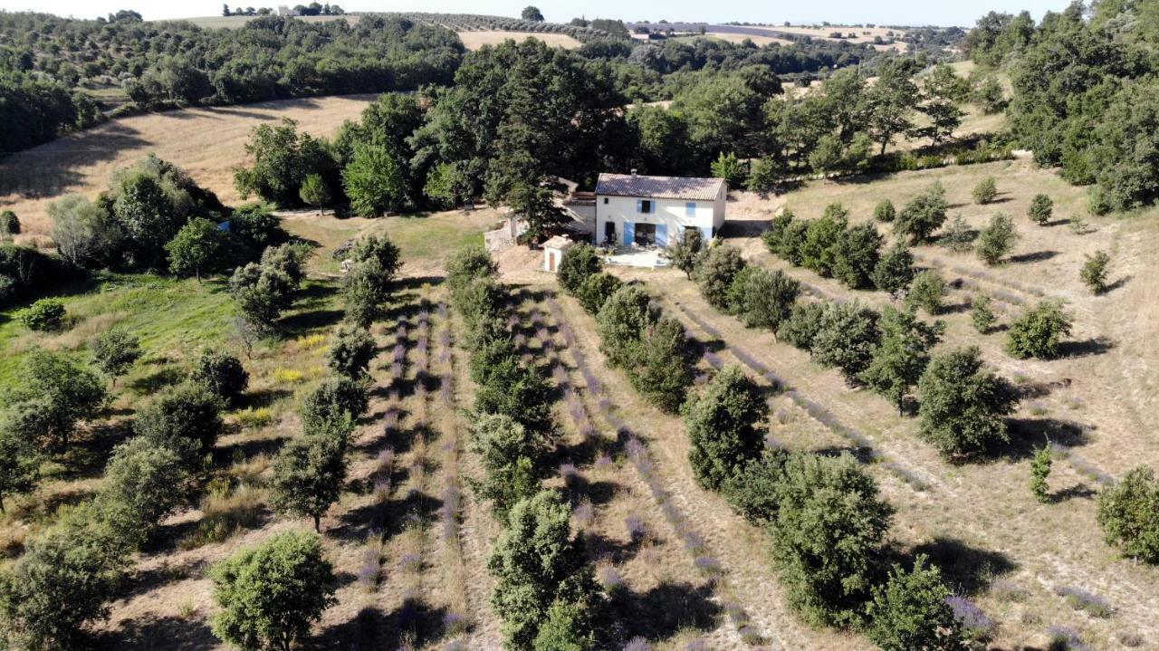 Maison D'Hotes Du Grand Chene Валансоль Екстер'єр фото